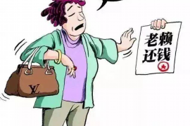 平凉专业讨债公司有哪些核心服务？